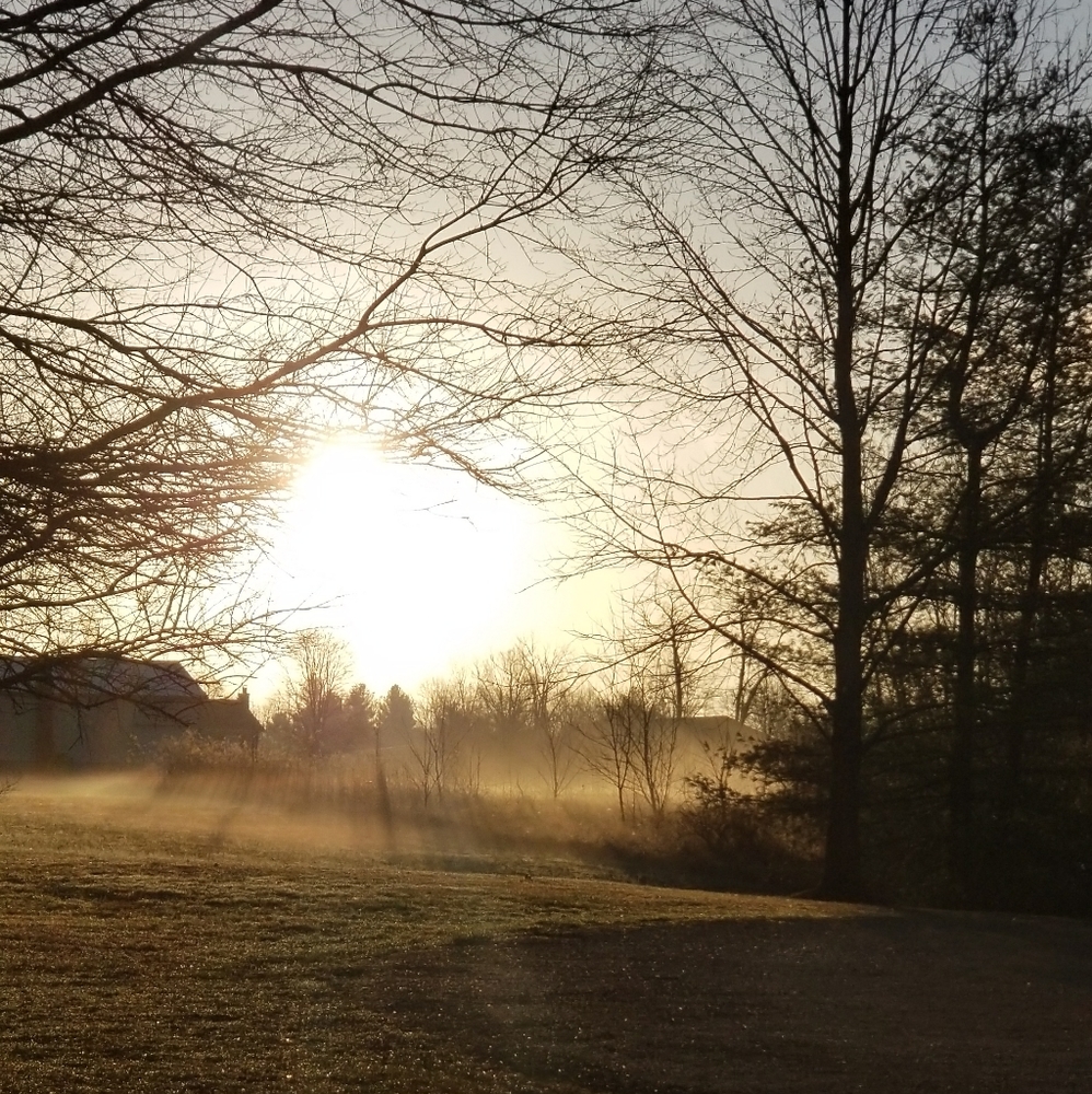 Meet your Posher, Shannon